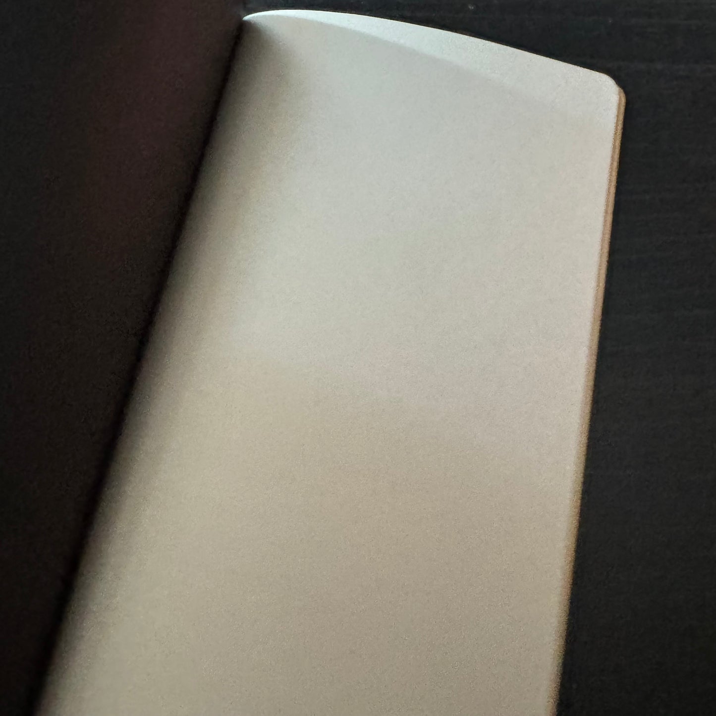 Mr. Eggplants TN notebook insert